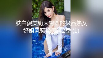 肤白貌美奶大臀圆的极品熟女好姐风骚艳舞第2季 (1)