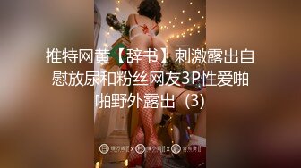 推特网黄【辞书】刺激露出自慰放尿和粉丝网友3P性爱啪啪野外露出  (3)