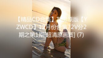 【精品CD合集】某房原版【YZWCD】12月份合集72V分2期之第1期[超清原画质] (7)