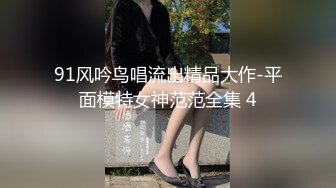 91风吟鸟唱流出精品大作-平面模特女神范范全集 4