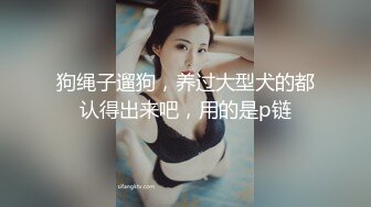 狗绳子遛狗，养过大型犬的都认得出来吧，用的是p链