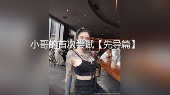 小哥的首次尝试【先导篇】