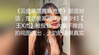 《云盘高质露脸泄密》国语对话，东北良家韵味人妻少妇【王X杰】被报复，大量不雅自拍视图流出，大奶肥逼很真实 (3)