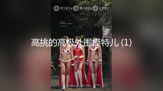 高挑的高级外围模特儿 (1)